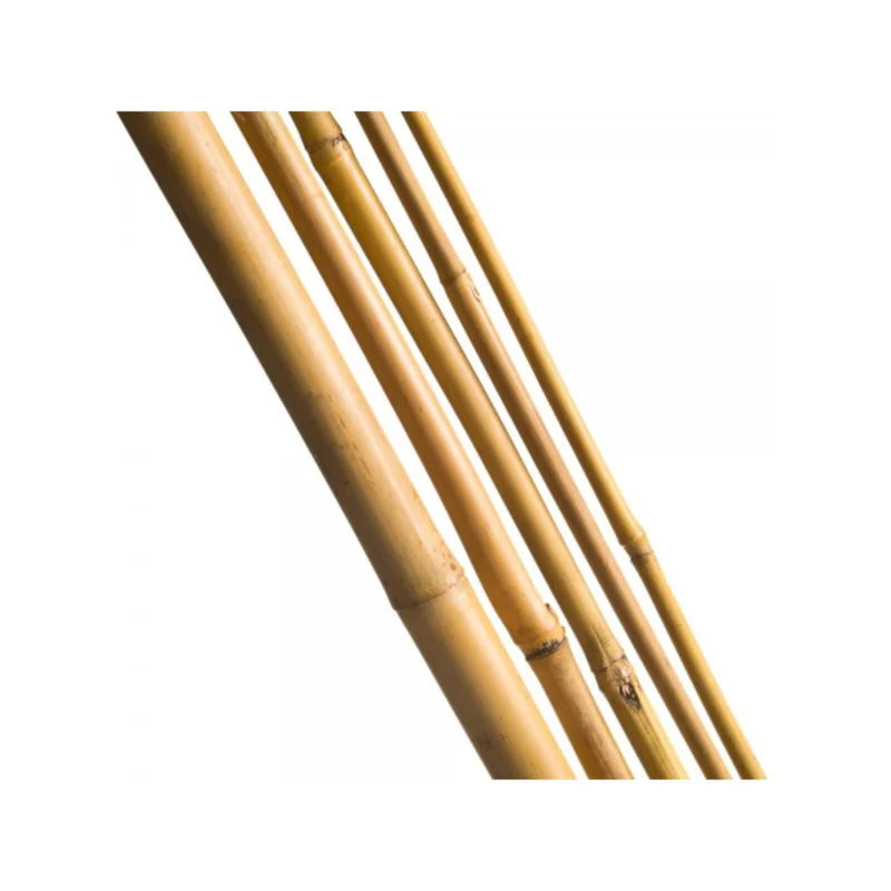 Kihagyhatatlan ajánlat Bambuszrúd 240cm/3db 18-20 mm/ régi 5020026