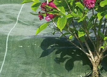 Agroszövet 1,5x100m zöld Weedsol kimérős Outlet